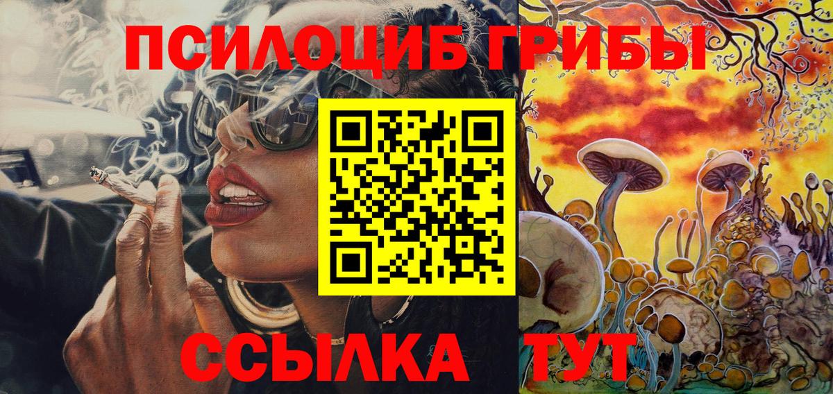 Галлюциногенные грибы Cubensis Белгород